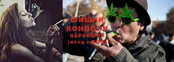 спиды Каменногорск