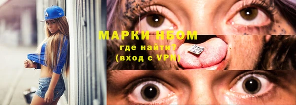 винт Каменка