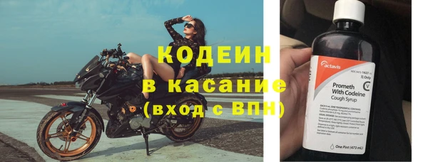 спиды Каменногорск