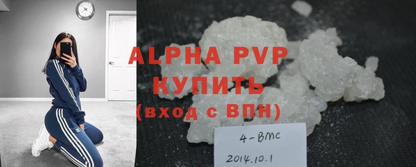 винт Каменка