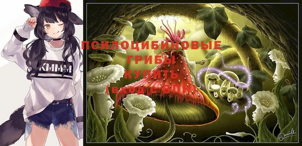 винт Каменка
