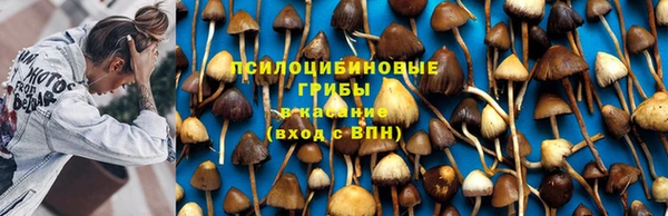 винт Каменка
