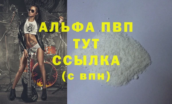 спиды Каменногорск