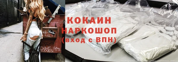 винт Каменка